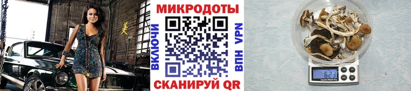 Галлюциногенные грибы мухоморы  Купить  Беломорск 